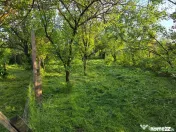 Casă cu 4 camere, mobilată, Mosteni, 35000 EUR 