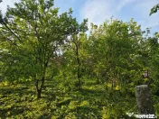 Casă cu 4 camere, mobilată, Mosteni, 35000 EUR 