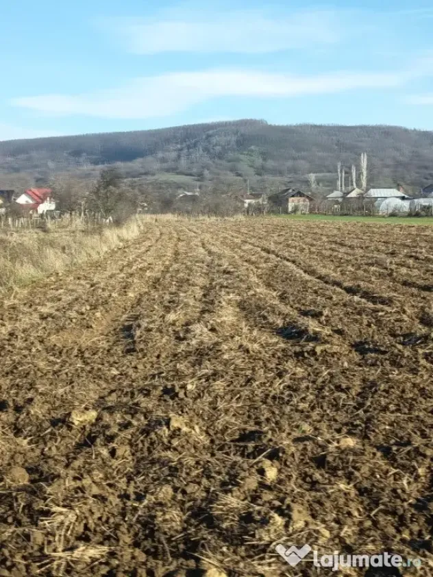 Teren intravilan de vânzare 2983mp
