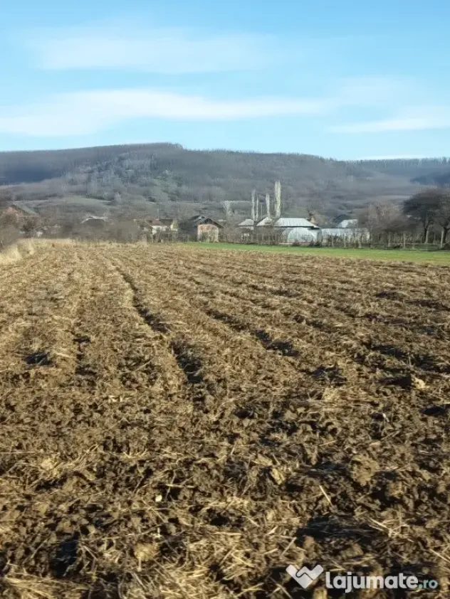 Teren intravilan de vânzare 2983mp