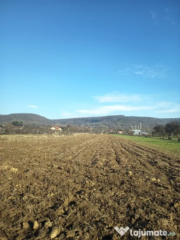 Teren intravilan de vânzare 2983mp