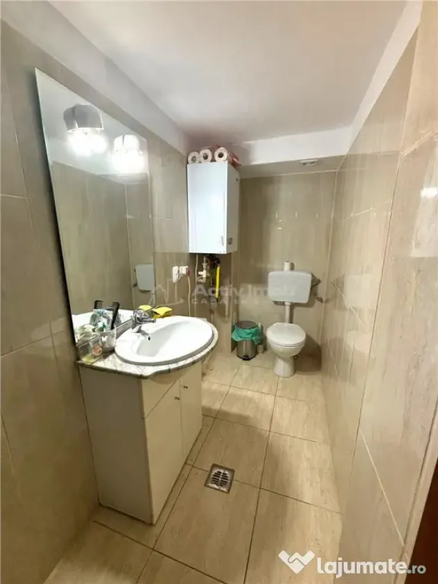 Armeneasca, Vila individuala, Curte comuna