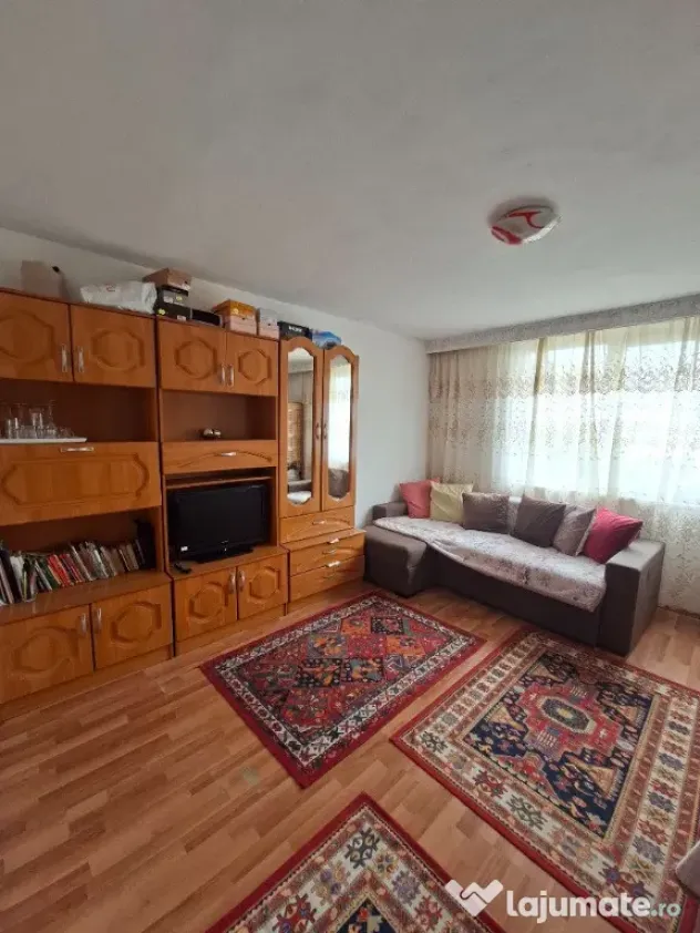 Apartament 1 camera Central