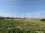 Teren de vanzare, 3.000 mp, utilități și acces asfaltat,
