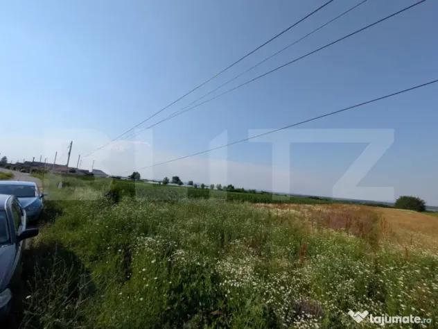 Teren de vanzare, 3.000 mp, utilități și acces asfaltat,