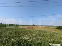 Teren de vanzare, 3.000 mp, utilități și acces asfaltat,