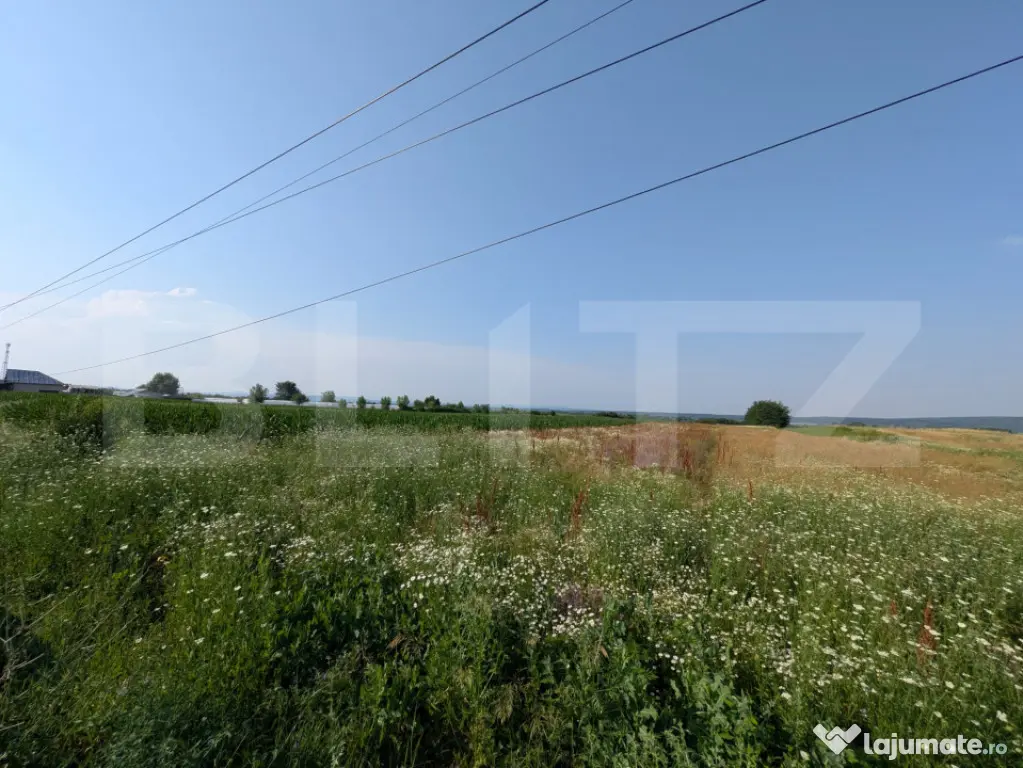 Teren de vanzare, 3.000 mp, utilități și acces asfaltat,