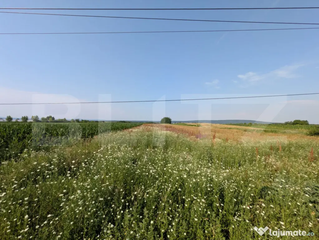 Teren de vanzare, 3.000 mp, utilități și acces asfaltat,