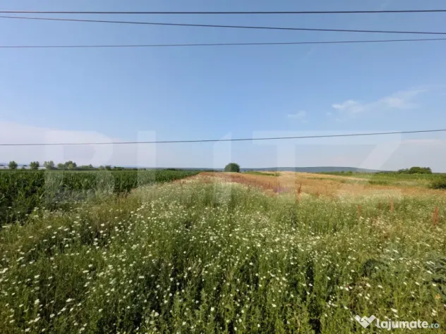 Teren de vanzare, 3.000 mp, utilități și acces asfaltat,