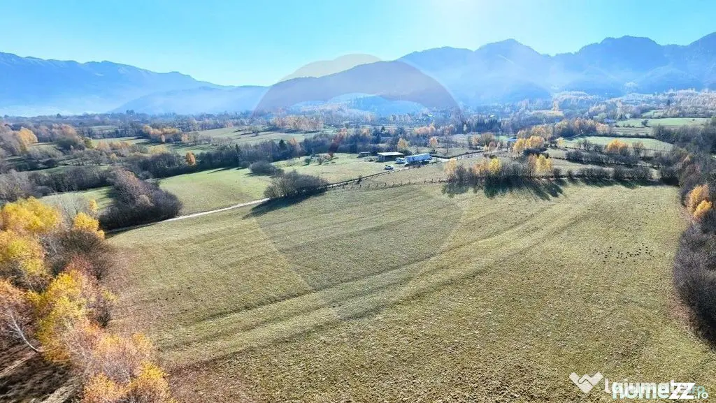 Comision 0% | Intravilan 1562 mp | Priveliste Bucegi,Magu... - Zarnesti (Brasov)