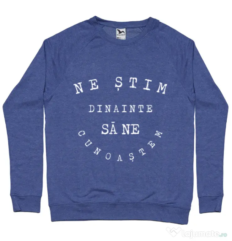 Bluza ADLER barbat Ne stim II Albastru melanj