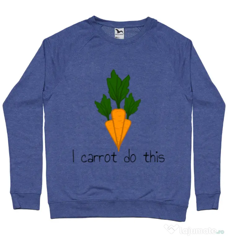 Bluza ADLER barbat I carrot do this Albastru melanj