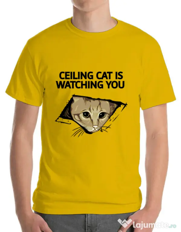 Tricou ADLER barbat Ceiling cat Galben
