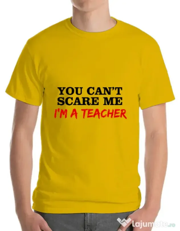 Tricou ADLER barbat I'm a teacher Galben