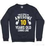 Bluza ADLER barbat Awesome birthday Denim inchis
