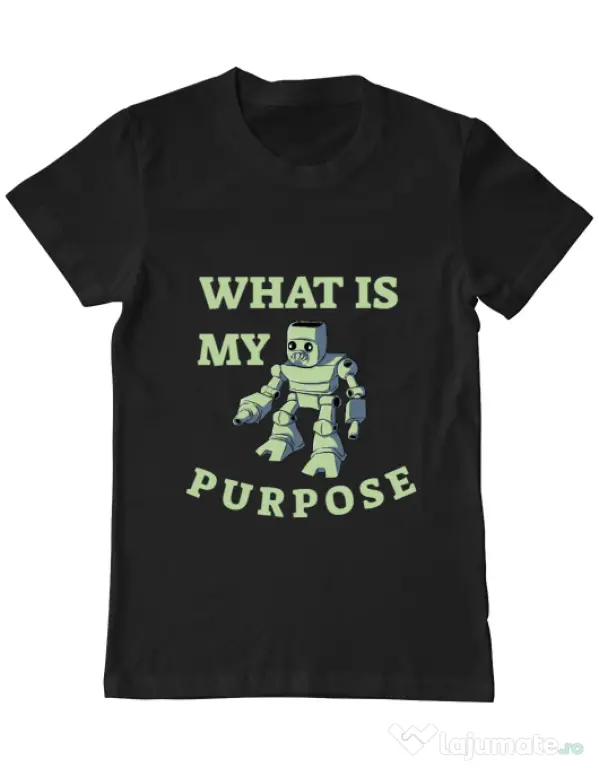 Tricou ADLER barbat What is my purpose Negru