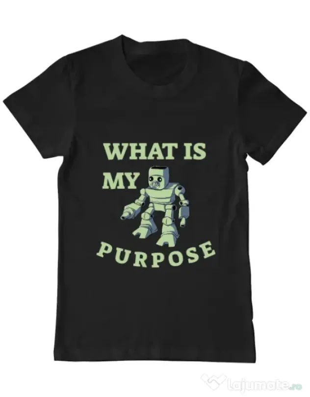 Tricou ADLER barbat What is my purpose Negru