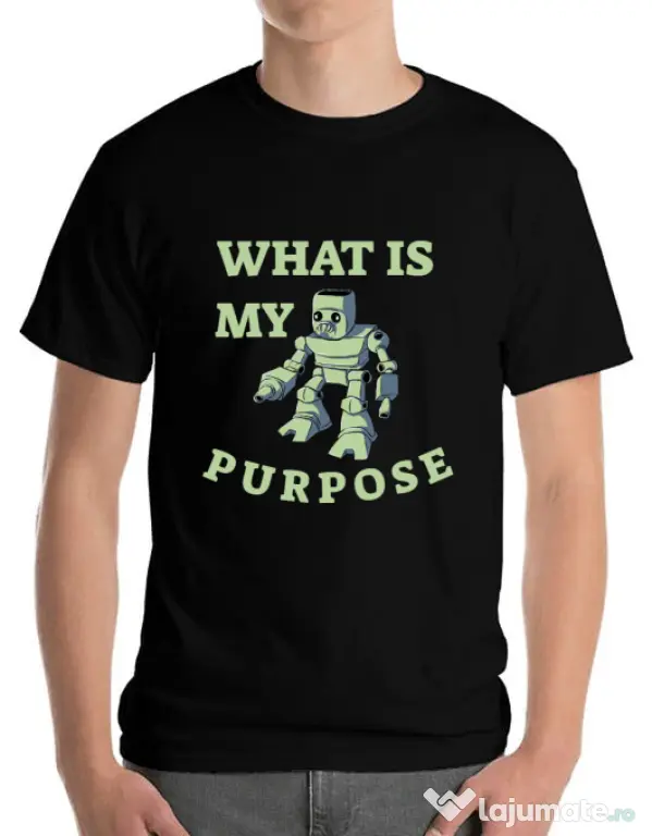 Tricou ADLER barbat What is my purpose Negru
