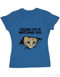 Tricou ADLER dama Ceiling cat Albastru azuriu