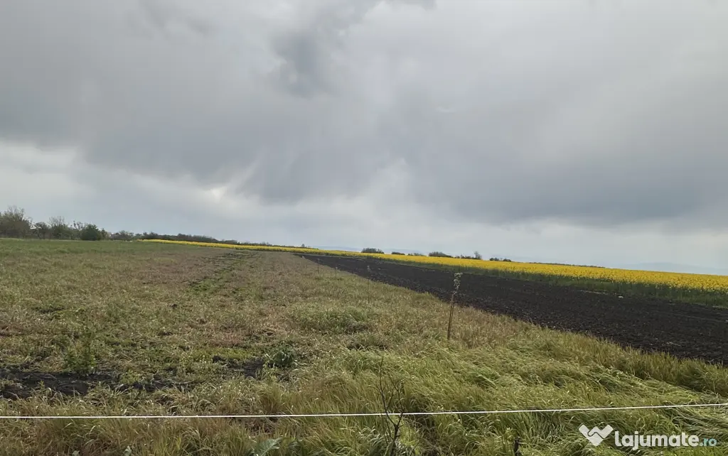 Teren 2472mp Eco pentru “VIAȚA LA ȚARĂ” în Sălciile, Prahova