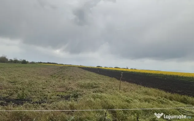 Teren 2472mp Eco pentru “VIAȚA LA ȚARĂ” în Sălciile, Prahova