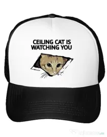 Sapca personalizata Ceiling cat Alb