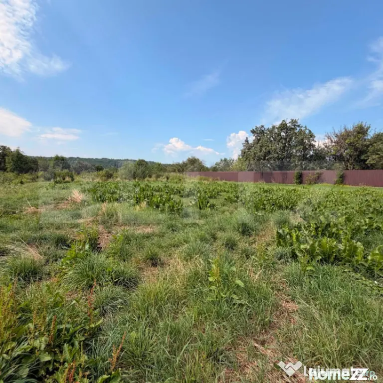 Teren intravilan, 3600 mp, în Bogdănești, zona Profi - Bogdanesti (Suceava)