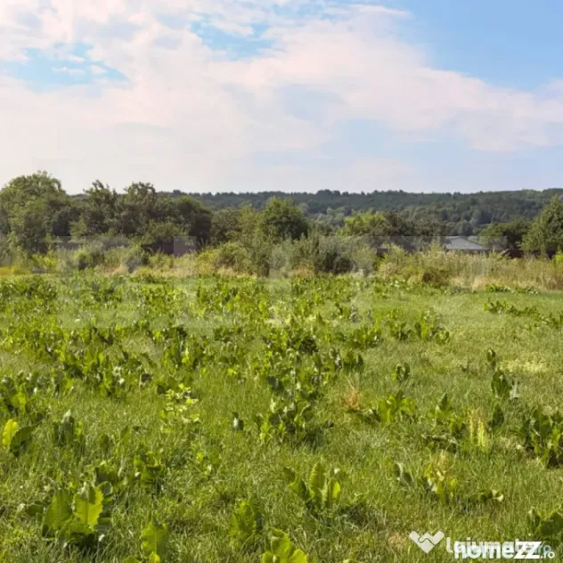 Teren intravilan, 3600 mp, în Bogdănești, zona Profi - Bogdanesti (Suceava)