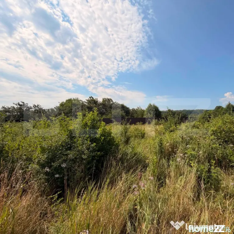 Teren intravilan, 3600 mp, în Bogdănești, zona Profi - Bogdanesti (Suceava)