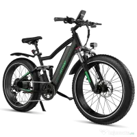 Bicicleta Electrica