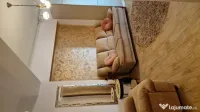 Apartament 2 camere Pacii, Rotar Park 1