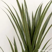 HOMCOM Yucca Artificială de 190 cm, Plantă Artificială cu 39 de Frunze pentru Decor Acasă, Birou, Grădină Ø17x190 cm Verde | Aosom Romania