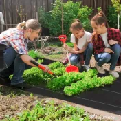 Outsunny 2 x 25 m Bariere Impotriva Buruienilor, Tesatura pentru Peisaj, pentru Controlul Buruienilor in Sere si Gradini, Robusta si Usor de Montat 