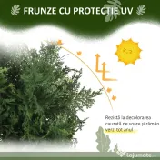 HOMCOM Arbori Topiari de Cedru Artificial, Set de 2 Plante Artificiale în Ghivece, Plante Decorative, 38x12.5x90 cm, Verde | Aosom Romania 
