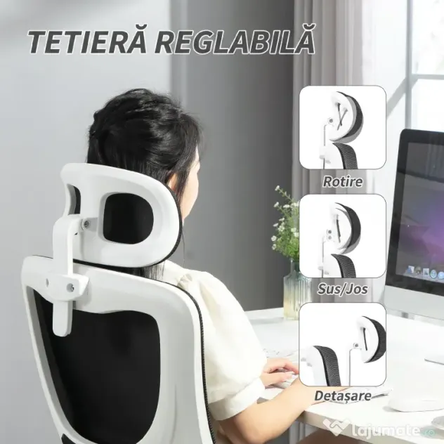Vinsetto Scaun de Birou Ergonomic cu Tetieră Detașabilă Negru | Aosom Romania