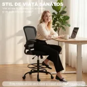 HOMCOM Scaun de Birou Ergonomic, Scaun Rotativ din Plasă, Înălțime Reglabilă și Suport pentru Picioare, Scaun de Birou cu Suport Lombar și Brațe Rabatabile, Capacitate 120kg, Negru | Aosom Romania 