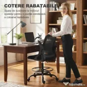 HOMCOM Scaun de Birou Ergonomic, Scaun Rotativ din Plasă, Înălțime Reglabilă și Suport pentru Picioare, Scaun de Birou cu Suport Lombar și Brațe Rabatabile, Capacitate 120kg, Negru | Aosom Romania 