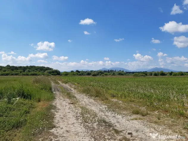Teren agricol Podu Oltului la limita UAT Harman si UAT Prejmer 1,5 euro mp