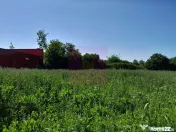 MOVILITA (IL) - SE INCHIRIAZA TEREN LANGA PROFI CU 0.5 EU... 