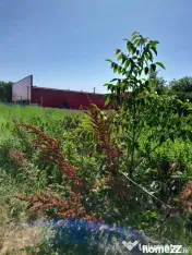 MOVILITA (IL) - SE INCHIRIAZA TEREN LANGA PROFI CU 0.5 EU... 