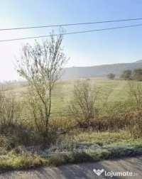 Teren extravilan de vanzare, zona Monariu, 1 hectar 