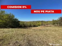 Teren generos Argeș Babana