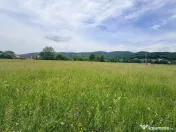 Razoare, 1,8 ha teren 