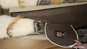 Haina Alpaca, noua, model deosebit 