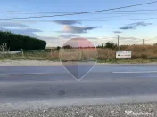 Teren intravilan Rastoaca / Strada Principala 
