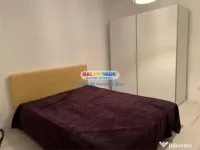 Studio de inchiriat, centrala proprie - Tineretului 