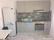 Studio de inchiriat, centrala proprie - Tineretului 