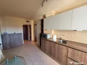Apartament 2 camere -zona Platinia-USAMV 