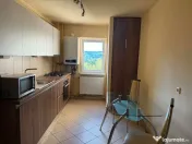 Apartament 2 camere -zona Platinia-USAMV 