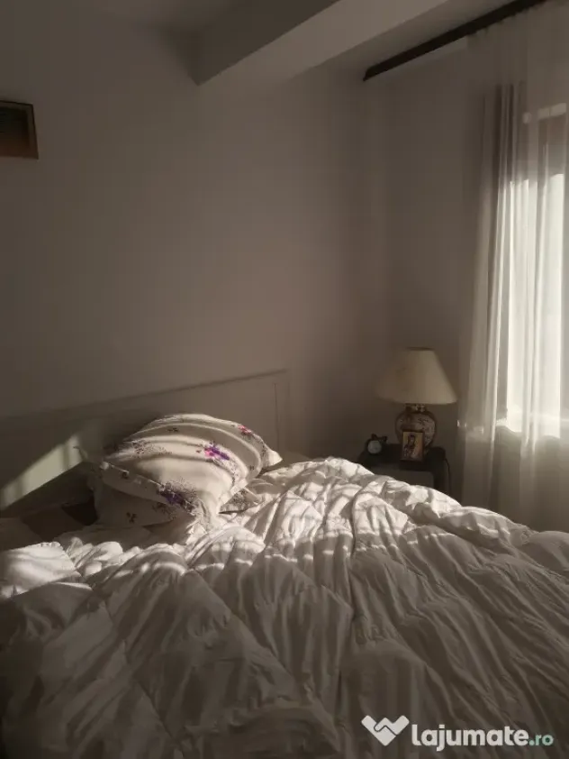 Apartament cu doua camere mobilat si utilat zona Semicentrala vedere munti - Busteni (Prahova)